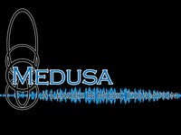 Medusa leader copy